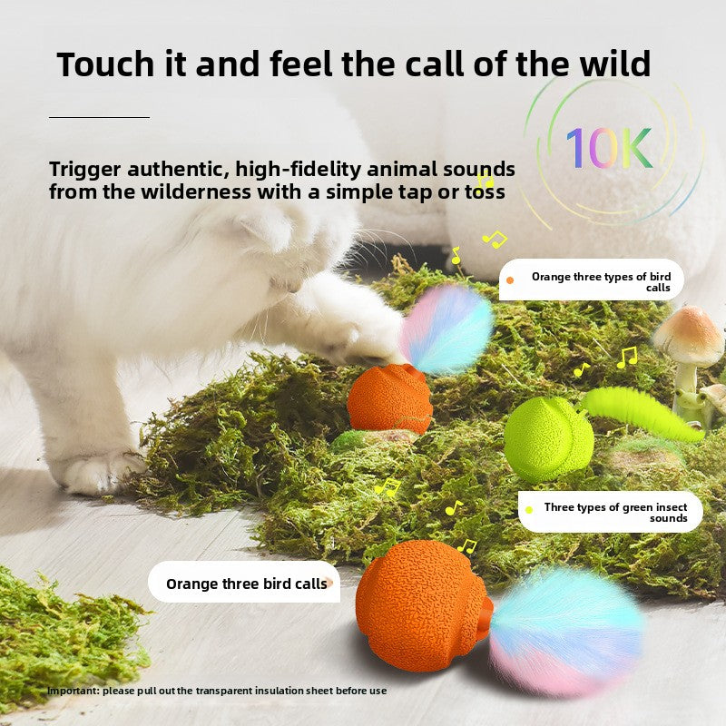 Cat Toy Set 2-Pack | Gravity Ball, Rattle, Bug & Bird Toys | Scratch & Bite Resistant Interactive Pet Toys