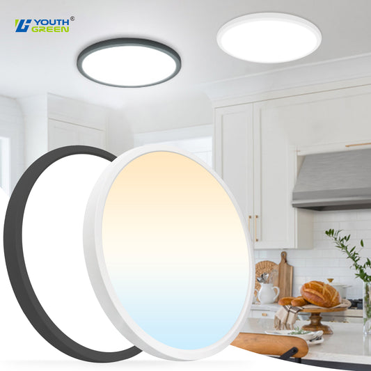 12 inch LED flush mount ceiling light installed in modern kitchen, white and black variants