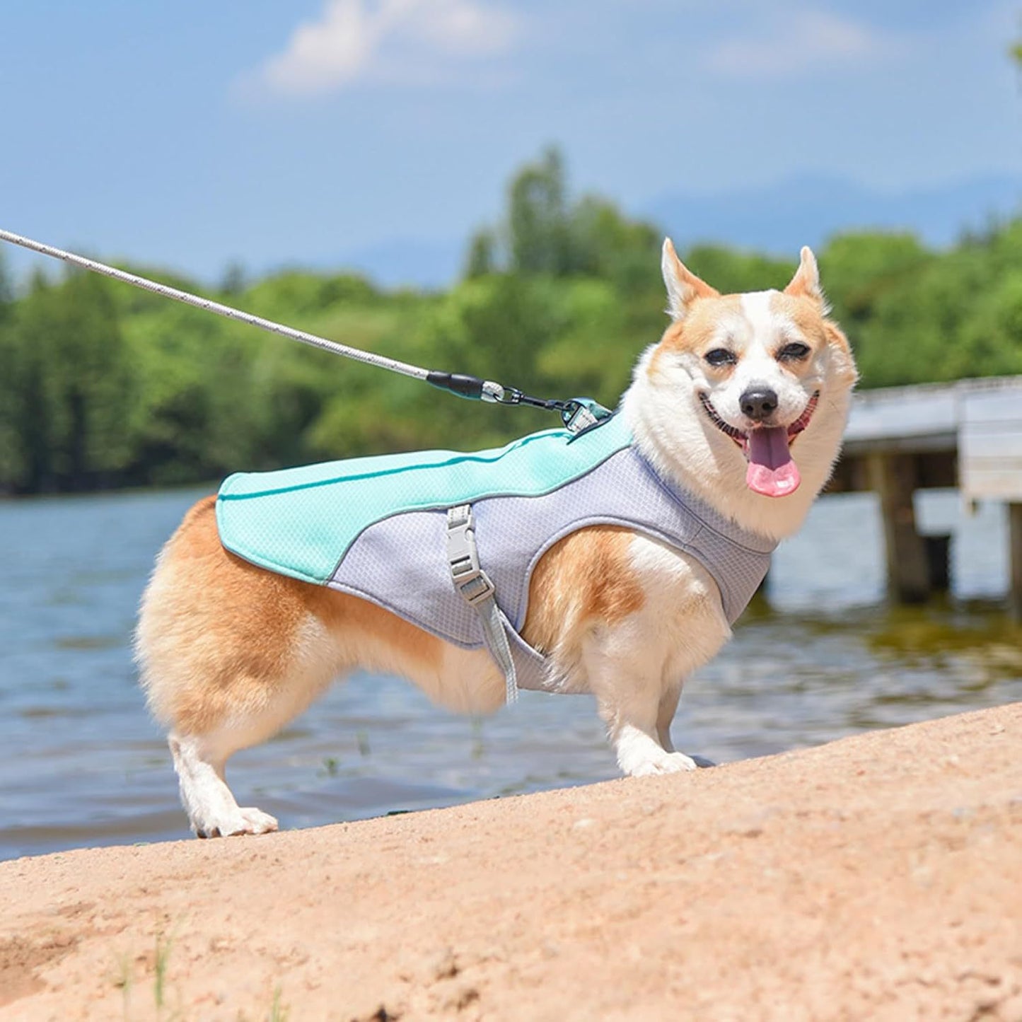 Summer Dog Cool Shirt – Breathable Thin Short Sleeve Heat Prevention Clothes for Puppies & Dogs