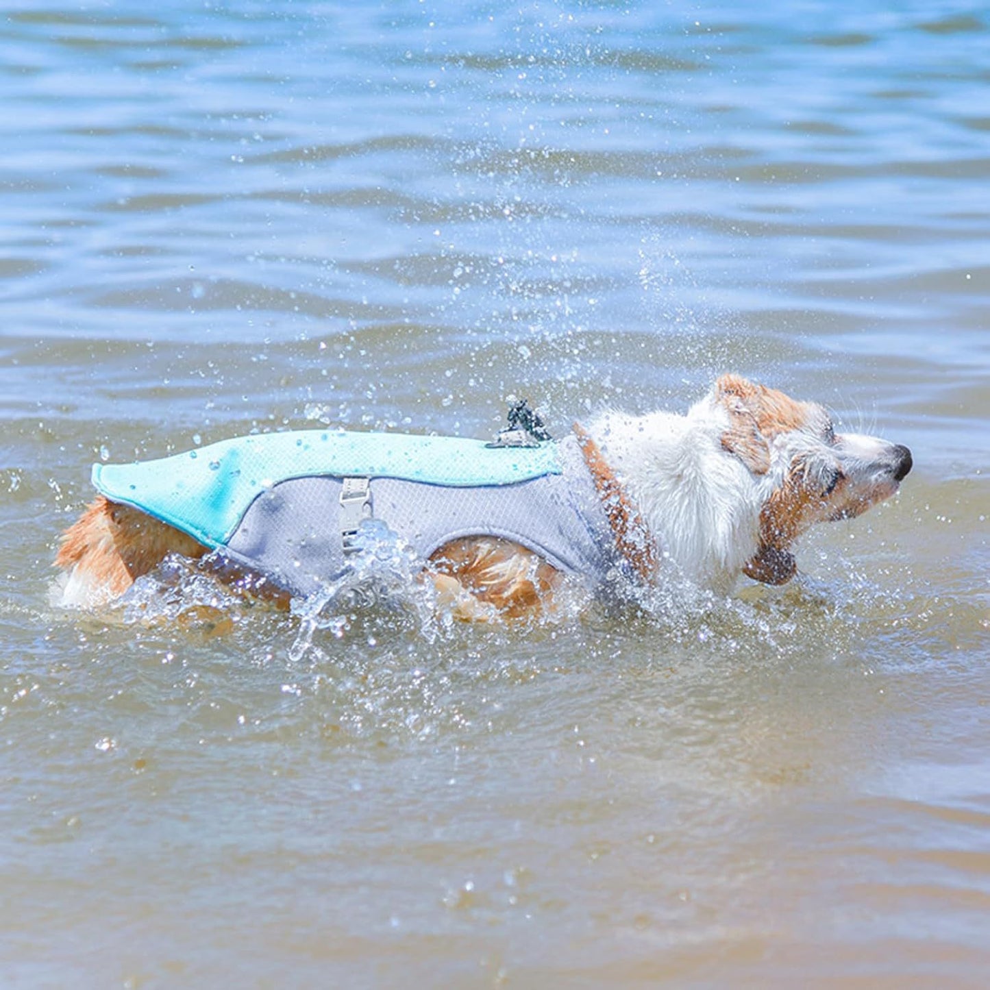 Summer Dog Cool Shirt – Breathable Thin Short Sleeve Heat Prevention Clothes for Puppies & Dogs