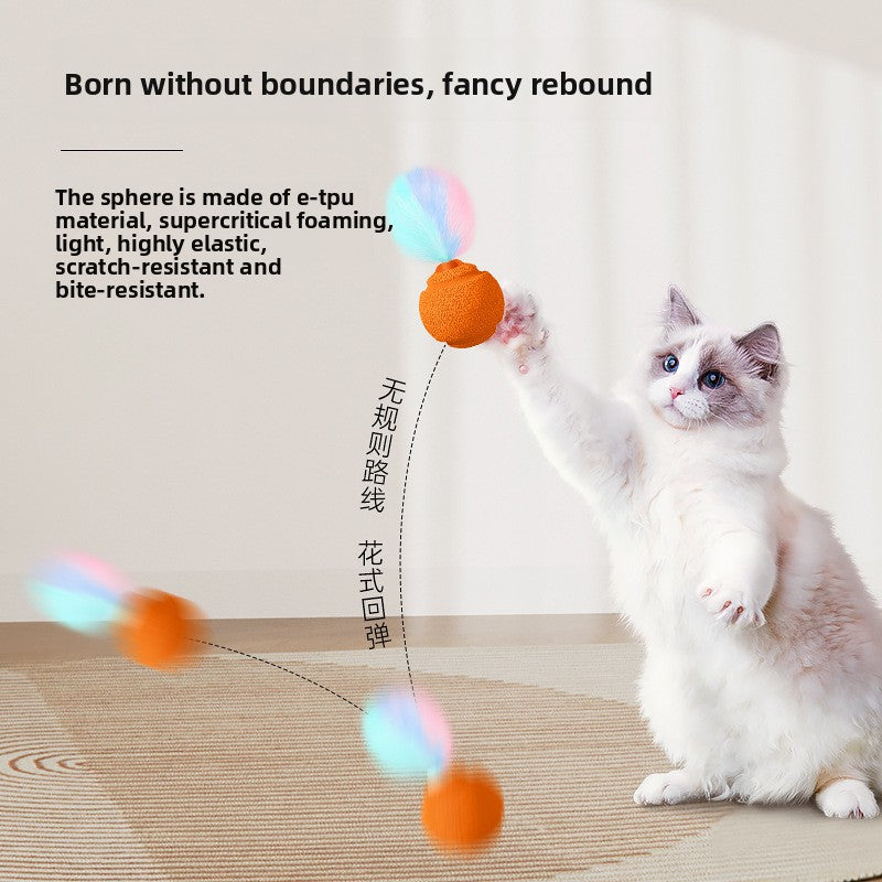 Cat Toy Set 2-Pack | Gravity Ball, Rattle, Bug & Bird Toys | Scratch & Bite Resistant Interactive Pet Toys