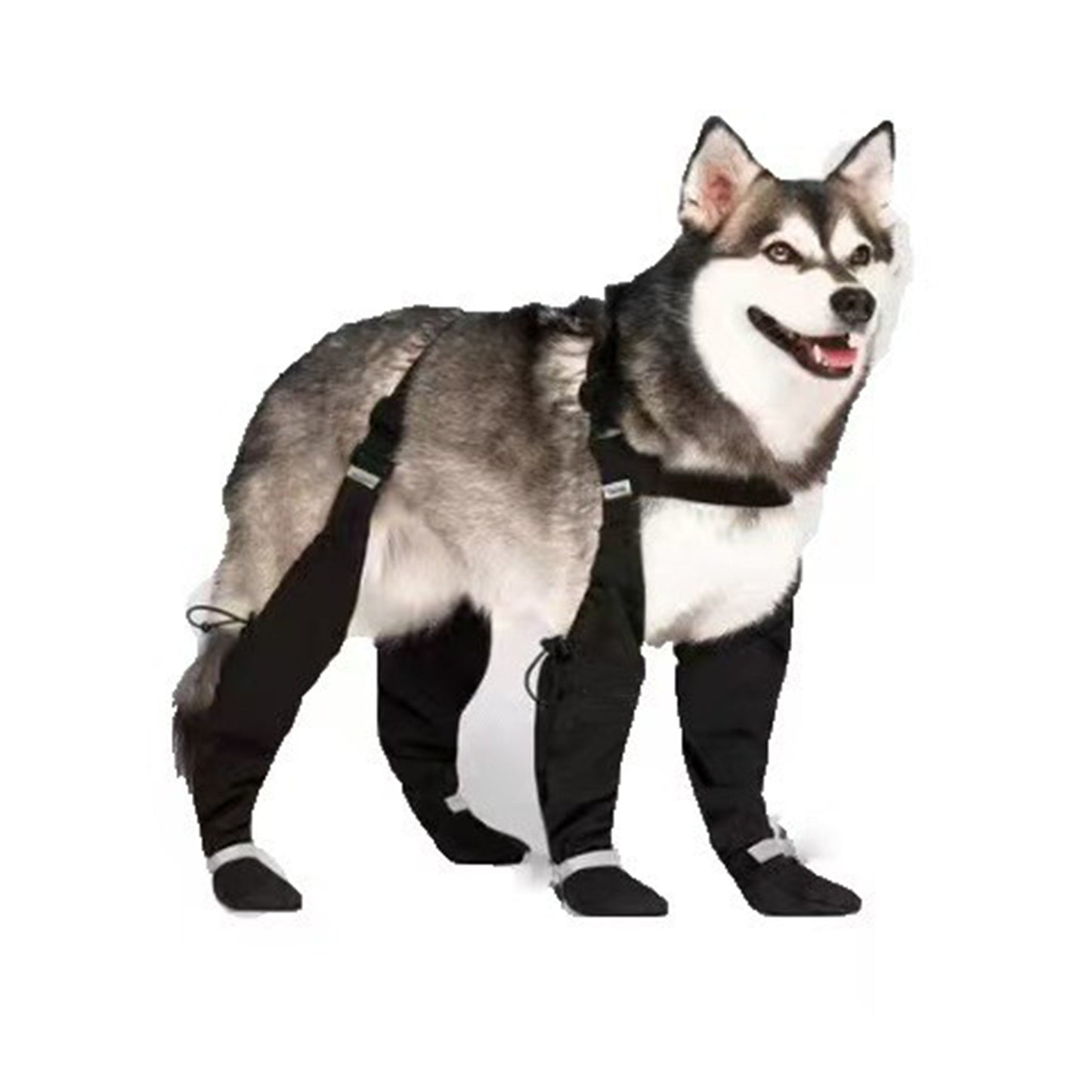 Reflective Elastic Dog Boots – Anti-Dirty Waterproof Dog Shoes for All Seasons | XS–XXL