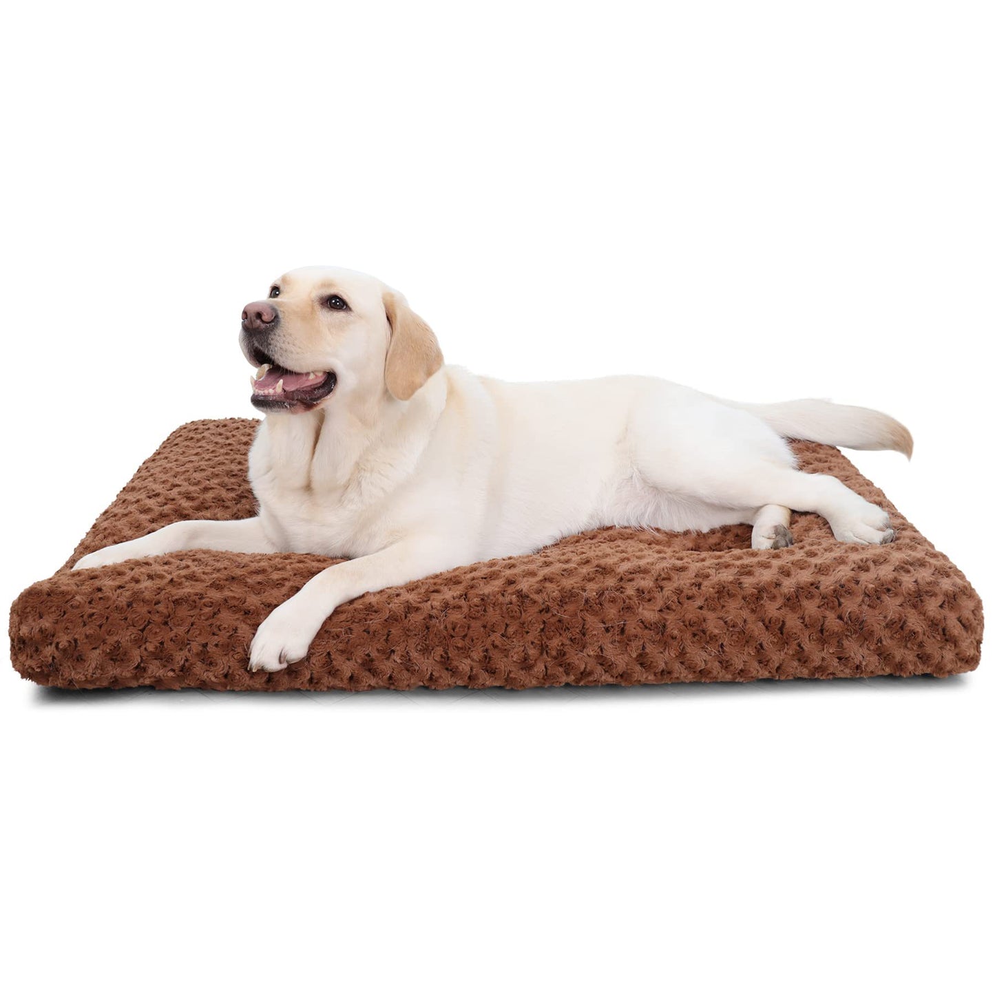 Rose Velvet Dog Bed Mat – Bite-Resistant, Soft & Warm Pet Pad for Dogs & Cats