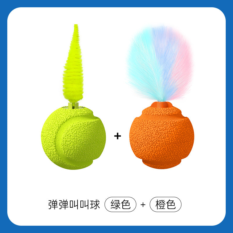 Cat Toy Set 2-Pack | Gravity Ball, Rattle, Bug & Bird Toys | Scratch & Bite Resistant Interactive Pet Toys