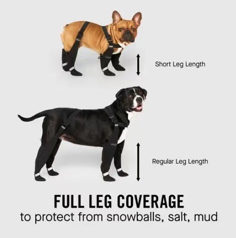 Reflective Elastic Dog Boots – Anti-Dirty Waterproof Dog Shoes for All Seasons | XS–XXL
